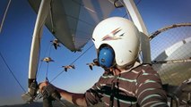 Documentary - Birds of Passage - A Secret Journey Through the Skies