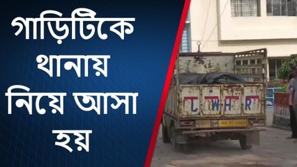 চোখ ধাঁধানো কালো হিরে উদ্ধার! দেখতে ক্লিক করুন