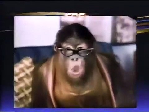 Last of the Great Survivors Bande-annonce (EN)