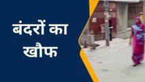 फिरोजाबाद: जिसे देख मंदिर का गेट करना पड़ता है बंद, देखिए ऐसे आतंक की तश्वीर