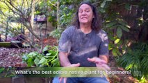 Gardening Australia episode 32 2022