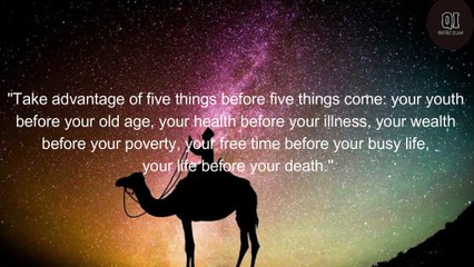 Voice quotes | The Greatest Islamic Quotes of All Time