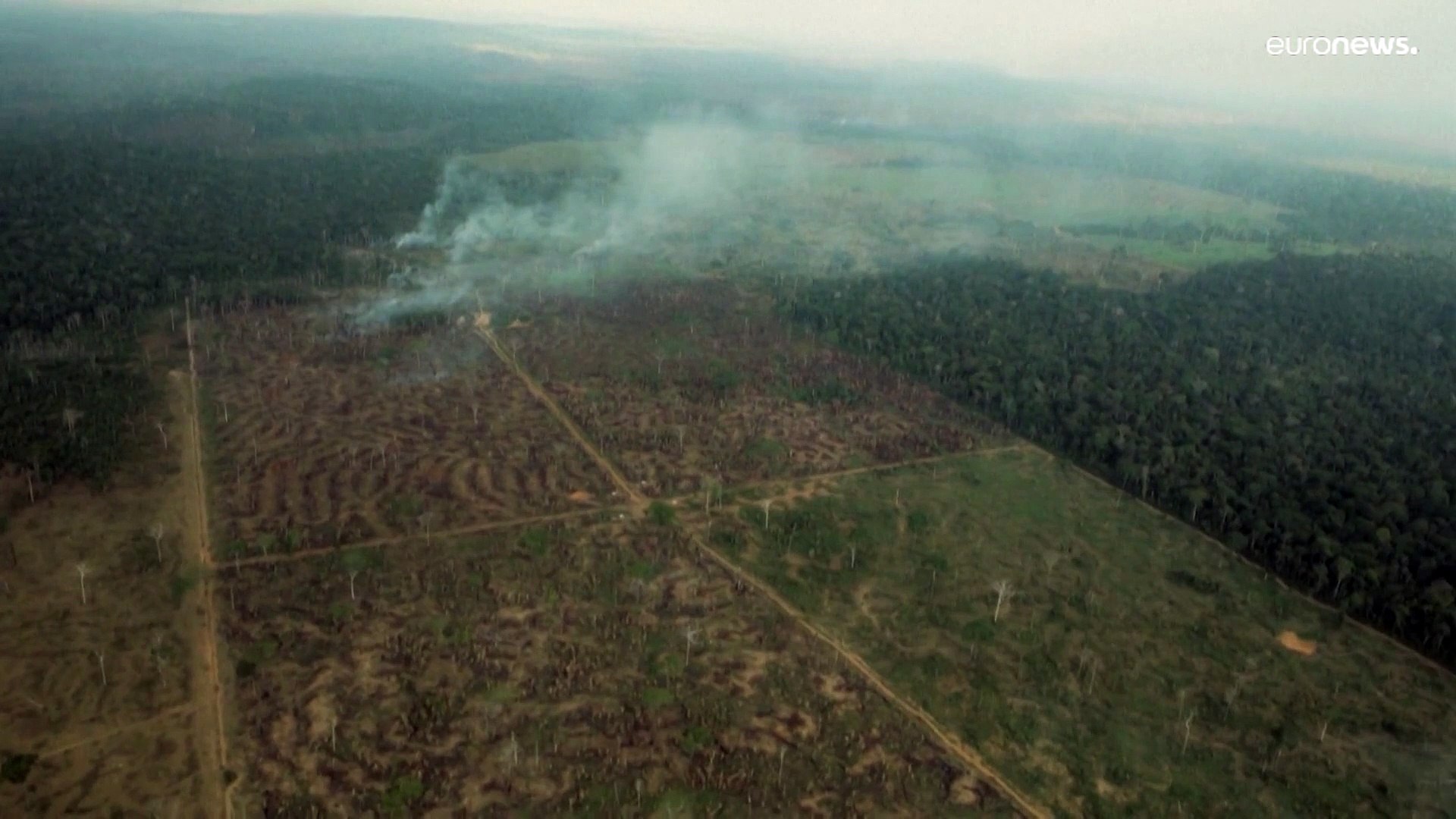 Watch Deforestation in the Brazilian Amazon reaches a record high