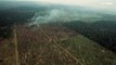 Watch : Deforestation in the Brazilian Amazon reaches a record high