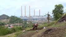 تحديات التحول إلى الطاقة النظيفة في إندونيسيا