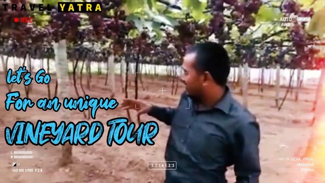 Grape Farm Visit | Vineyard Of Theni Tamilnadu | Grapes Garden Virtual Tour By Travel Yatra