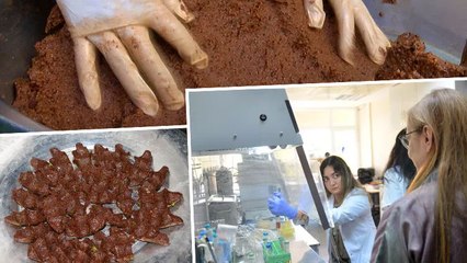 Çiğ köftede 'salmonella' ve 'bağırsak kökenli bakteri' tehlikesi