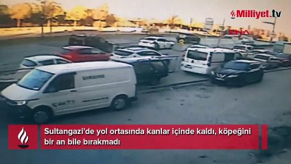 Kanlar içinde kaldı, köpeğini bir an bile bırakmadı