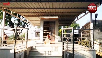 VIDEO : चोरों ने दो मंदिरों को खंगाला, दानपात्र व आभूषण चोरी