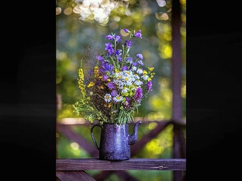 Wolfgang Amadeus Mozart Piano Concerto No.24 in C-, K.491-2.Larghetto-REMIX