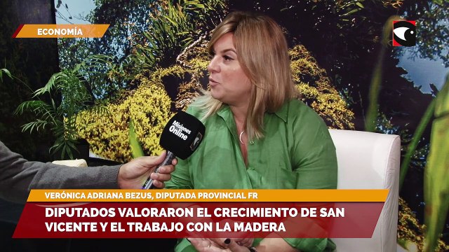 Diputados valoraron el crecimiento de San Vicente y el trabajo con la madera