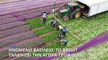 Ηνωμένο Βασίλειο: Προβλήματα στην παραγωγή τροφίμων προκαλεί το Brexit