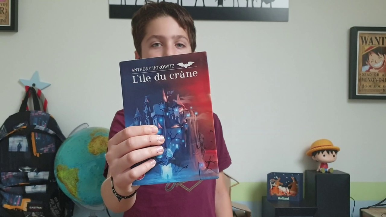 Les Lectures d'Arthur : avis sur "David Eliot : L'île du Crâne - tome 1"
