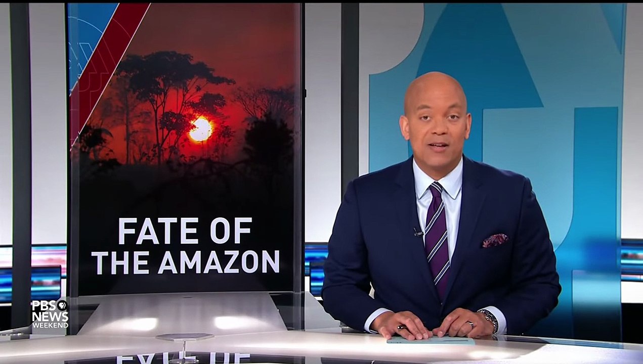 Will the Amazon rainforest’s chances improve with Brazil’s new leader-