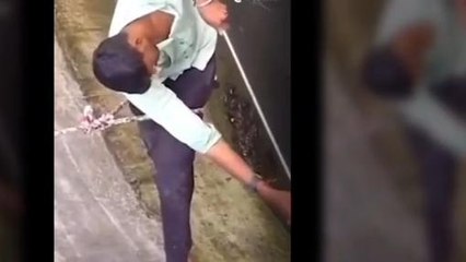 जहरीले सांप के लिए लगाई जान की बाजी, रोंगटे खड़े कर देगा Viral वीडियो...