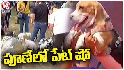 Pet Show In Maharashtra Pune Attracts Public | V6 News