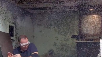 Matt Hancock to take on more than two million flies in latest I’m a Celeb trial