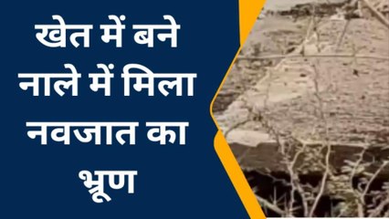 हनुमानगढ़ : खेत में बने नाले में मिला नवजात का भ्रूण, इलाके में फैली सनसनी