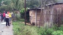 emergencias por lluvias colapsan viviendas