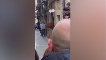 Una vaquilla se mete en una panadería