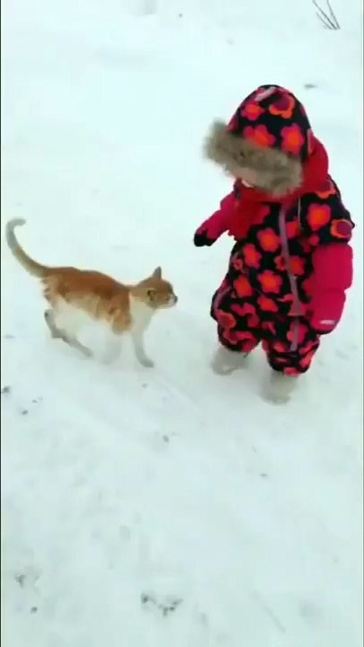 smackdown_cat