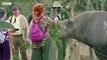 The dogs protecting Kenya's animals from poachers - BBC News