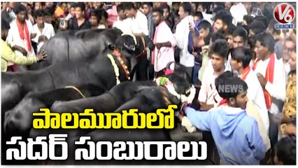 Minister Srinivas Goud Participates In Sadar 2022 Celebrations At Mahabubnagar | V6 News