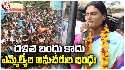 YS Sharmila Fires On TRS MLAs Over Dalith Bandhu | V6 News
