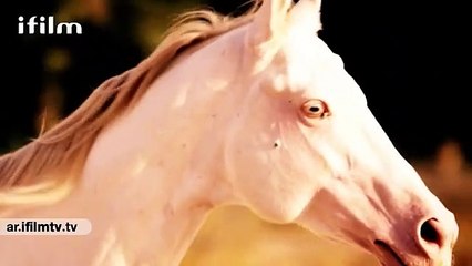 مسلسل "الهائمون" الحلقة 17