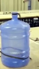 Girl vs. Boy Experiments: Surprising Differences Revealed! 🔍