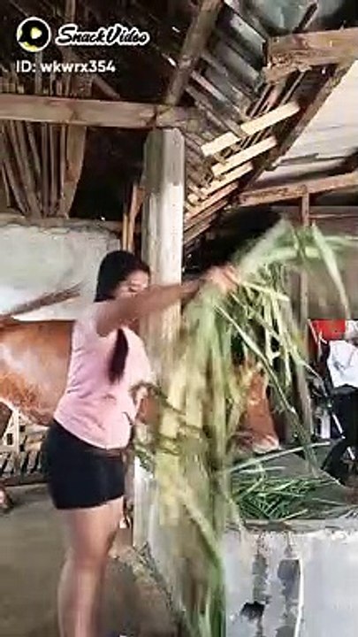 Janda Bali