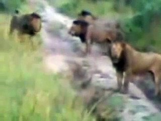 Selati males kill Mr T Mapogo