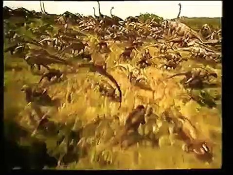 Dinosaure Bande-annonce (IT)