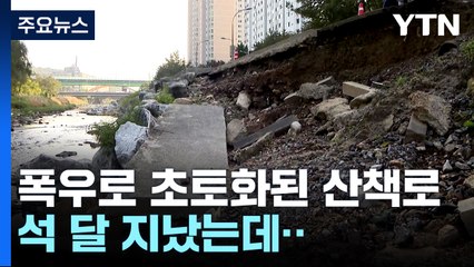 폭우 석 달 지났는데, '전쟁터' 산책로 더딘 복구...용인시 "국비 늦게 내려와서" / YTN