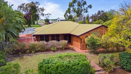 Oak Trees, Pittsworth, Qld - November 14, 2022 - Farmonline