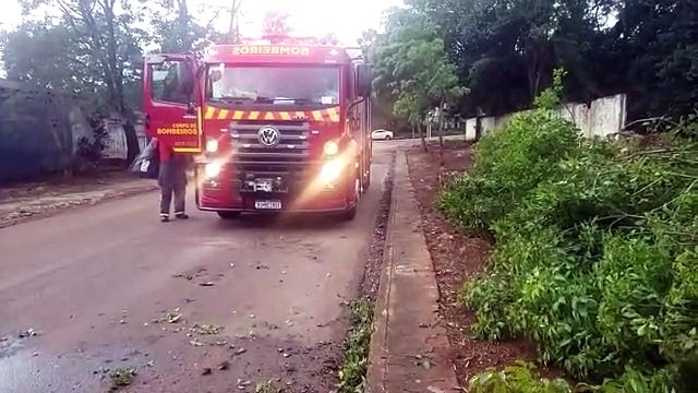 Bombeiros cortam galhos de árvore que estava caída sobre a via no Parque São Paulo