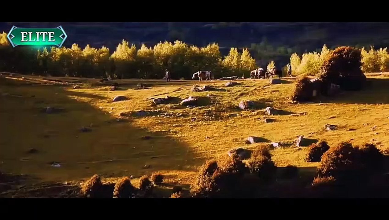 Drone Elite