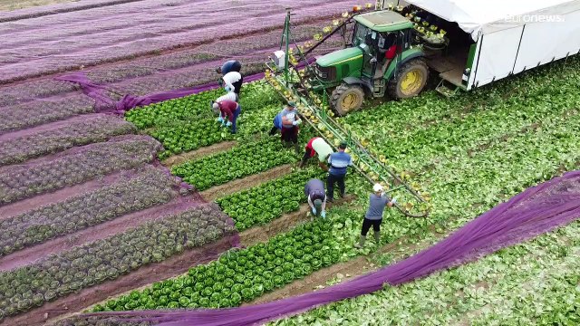 Regno Unito, imprenditori in rivolta: il numero dei pentiti della Brexit aumenta