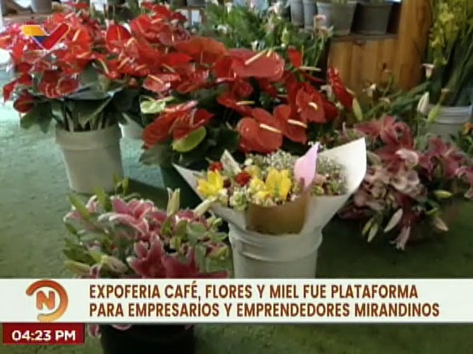 La Expoferia Café, Flores y Miel Miranda 2022 culmina con éxito sus  exposiciones - Vídeo Dailymotion