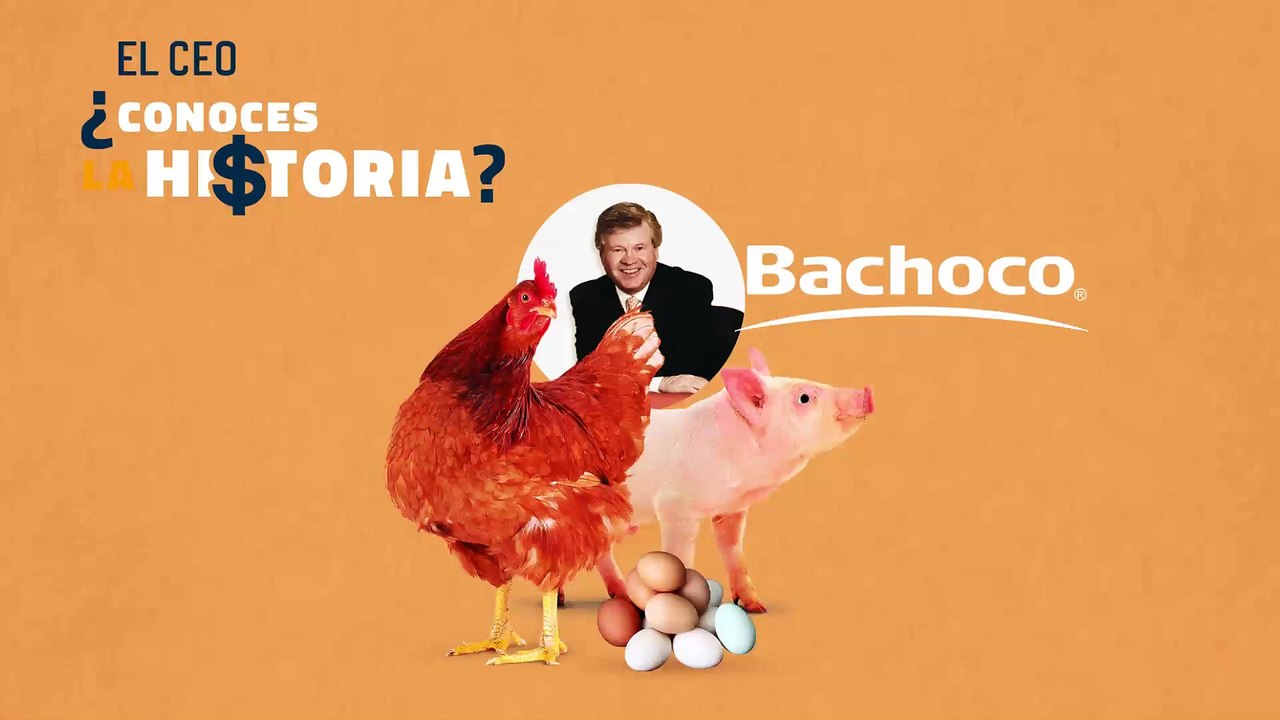Hi$toria: Bachoco