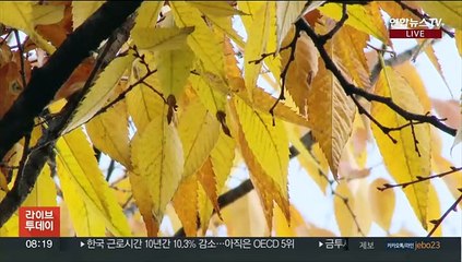 [날씨] 기온 내려가 쌀쌀한 출근길…수도권 영서 비 살짝
