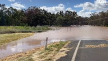 Eugowra Road closed due to flooding | November 2022 | Forbes Advocate