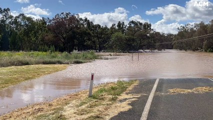 Download Video: Eugowra Road closed due to flooding | November 2022 | Forbes Advocate