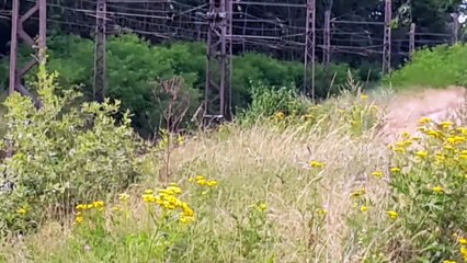 PASSAGE DE LA Z5335 EAS transilien A Chartrettes Rte du petit vau