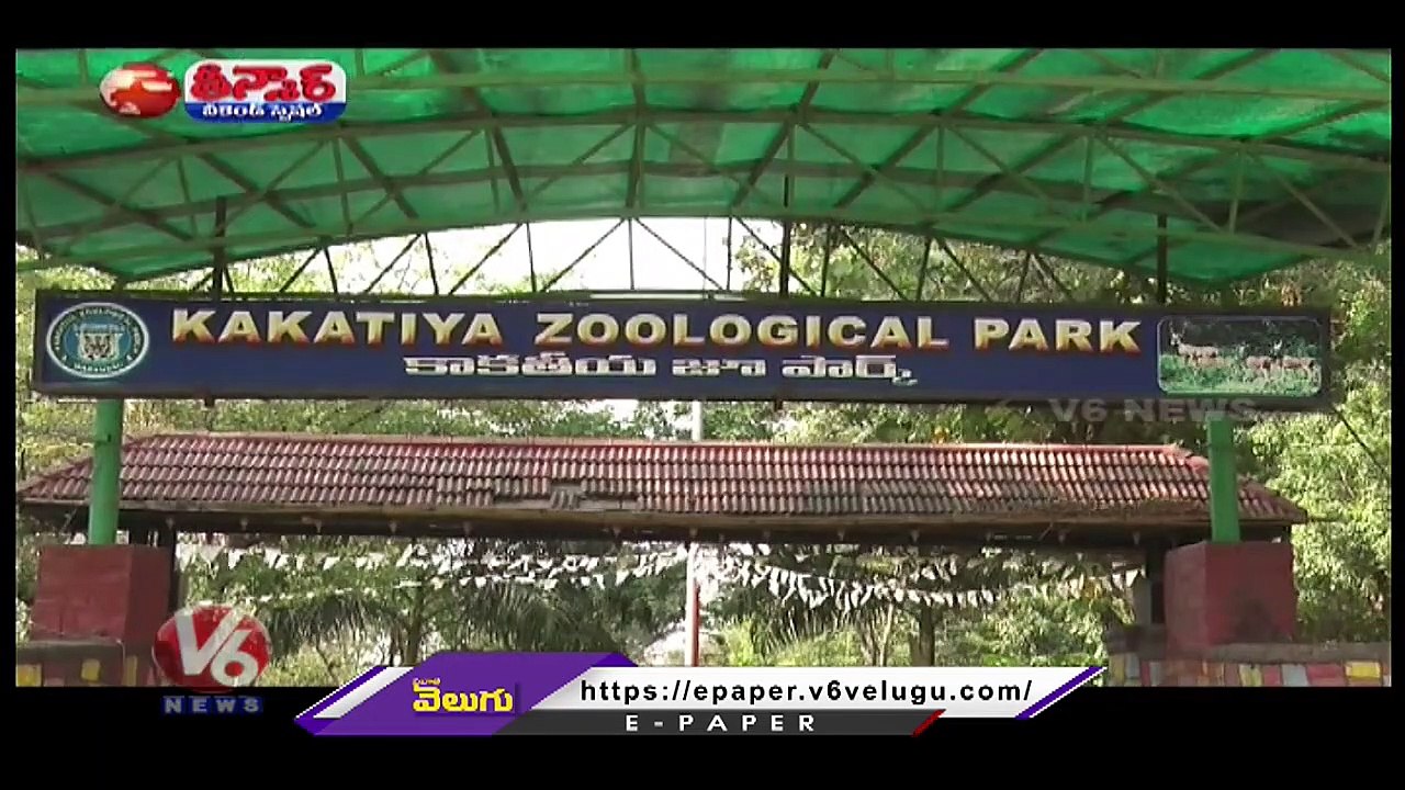 Special Arrangements To Keep Animals Warm From Winter Season _ Warangal Zoo _ V6 Weekend Teenmaar