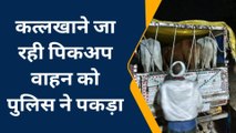 शाहपुर:कत्ल खाने ले जा रही गोवंश से भरी पिकअप वाहन को पुलिस ने पकड़ा,2 आरोपी गिरफ्तार