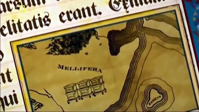 National Geographic Army Ants Tactics documentary(wild life)