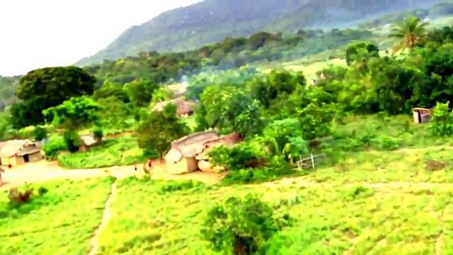 National Geographic Wild Anaconda Nat Geo animals Documentary HD 2021