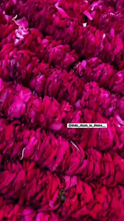 khatu_shyam_ke_diwane