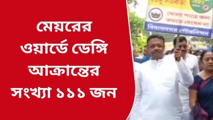 কলকাতা: লাফিয়ে বাড়ছে ডেঙ্গি, খোদ মেয়রের ওয়ার্ডেই আক্রান্ত ১১১!